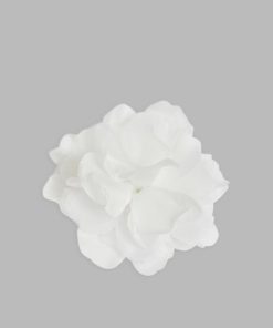 Driftweave.shop5546db00a1 1