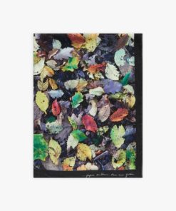 Driftweave.shope423a5b6d2 1